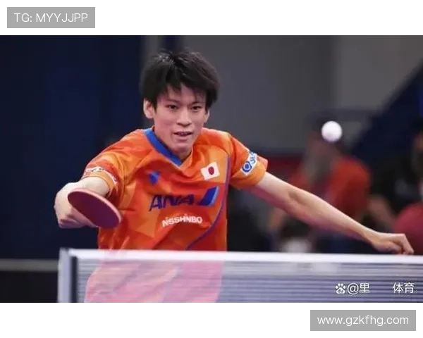 深圳乒乓球队实力变革引发热议新阶段的崛起与挑战